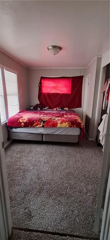 bedroom with carpet flooring