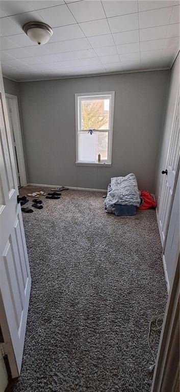 bedroom with carpet floors