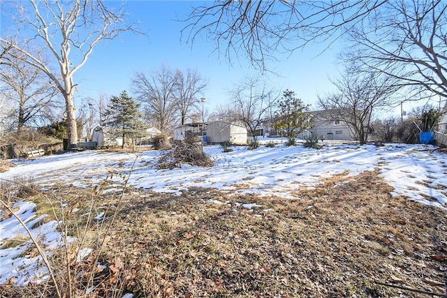 view of yard covered in snow