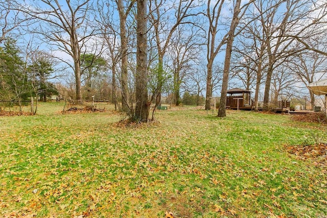 1109 Benckeser Rd, Cole Camp, MO 65325 - photo 23