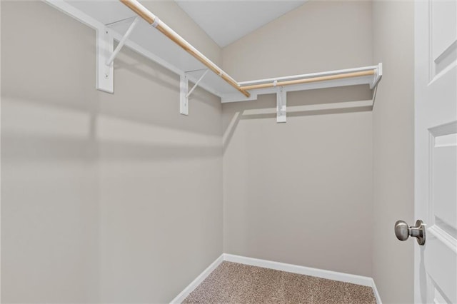 spacious closet featuring carpet flooring