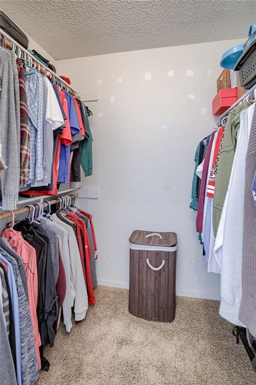 spacious closet with light carpet