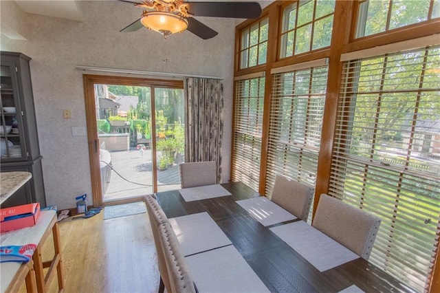 dining room featuring ceiling fan and dark hardwood / wood-style floors