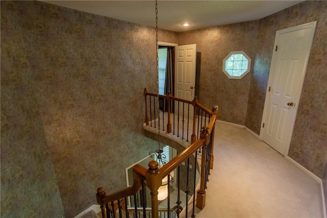 stairway with carpet