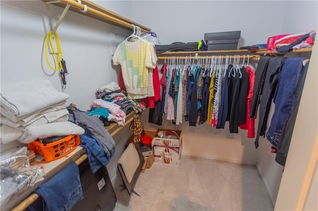 walk in closet with carpet