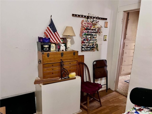 sitting room featuring hardwood / wood-style flooring