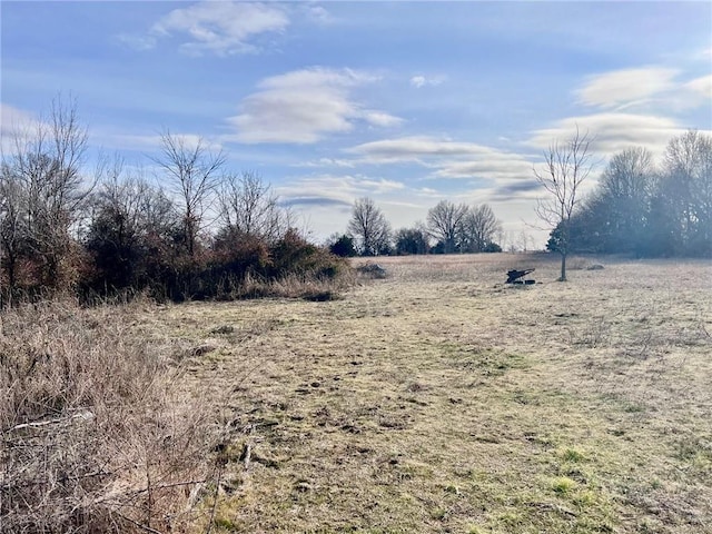 view of local wilderness with a rural view