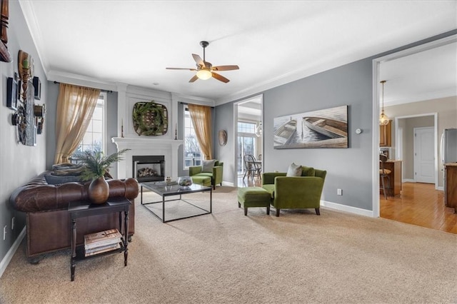 living room featuring baseboards, a glass covered fireplace, crown molding, and carpet flooring