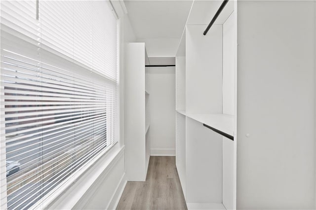 walk in closet featuring light wood finished floors