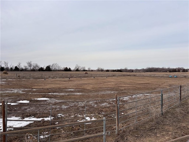 view of yard with a rural view