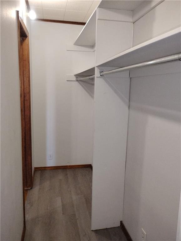 walk in closet featuring hardwood / wood-style flooring