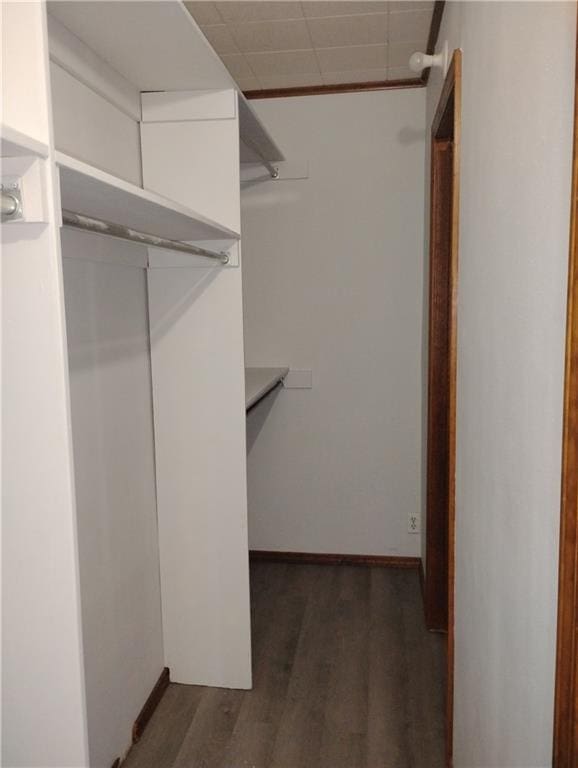 walk in closet featuring dark wood-type flooring