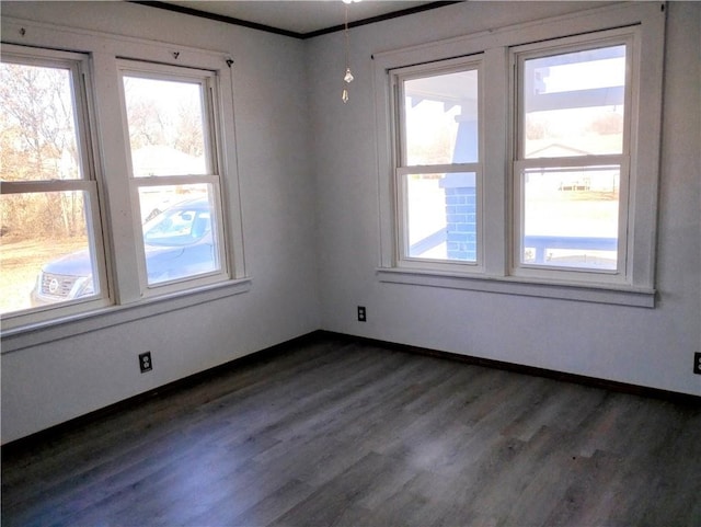 unfurnished room featuring crown molding and dark hardwood / wood-style flooring