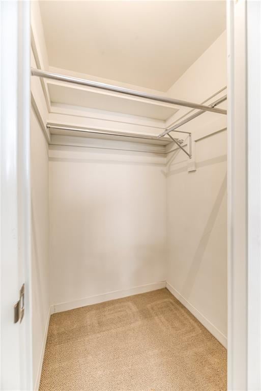 walk in closet featuring carpet