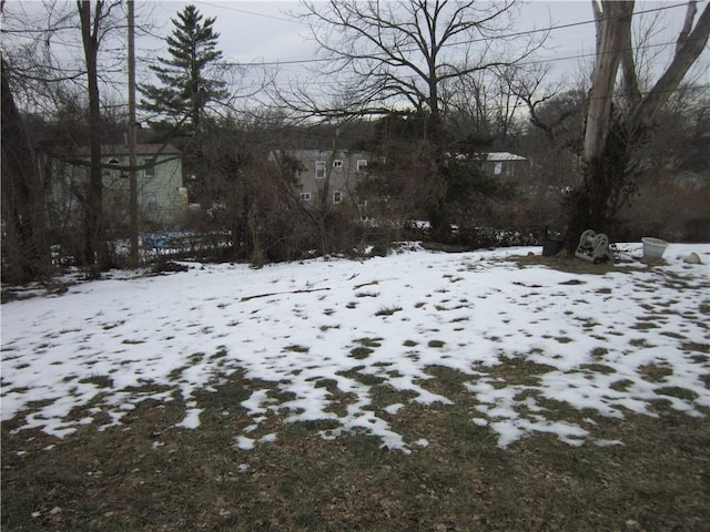 view of snowy yard