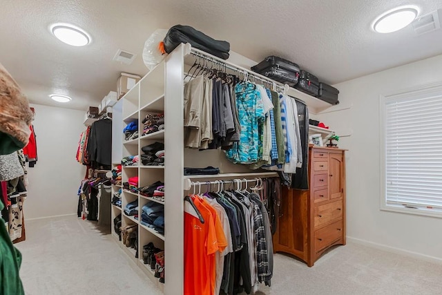 spacious closet with light carpet