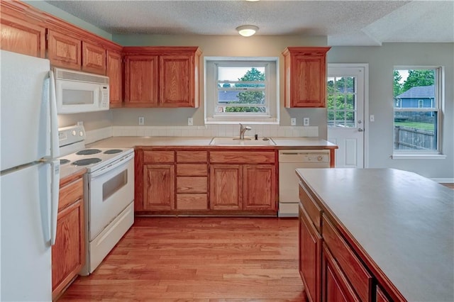 828 SW Harvest Dr, Grain Valley, MO 64029 - kitchen with white appliances, a sink, light wood-style flooring, a textured ceiling, and light countertops