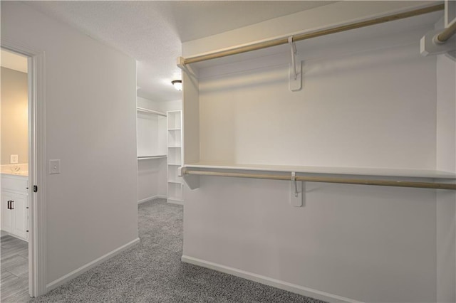 spacious closet featuring carpet flooring