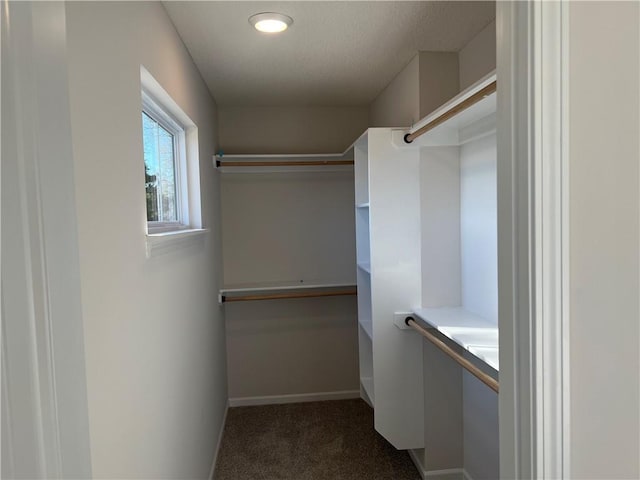 spacious closet with dark colored carpet