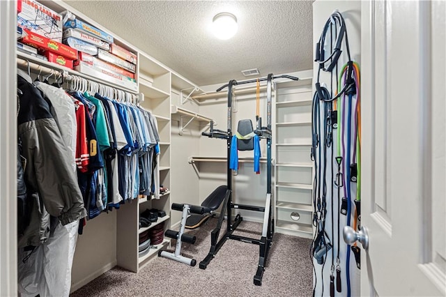 spacious closet with carpet