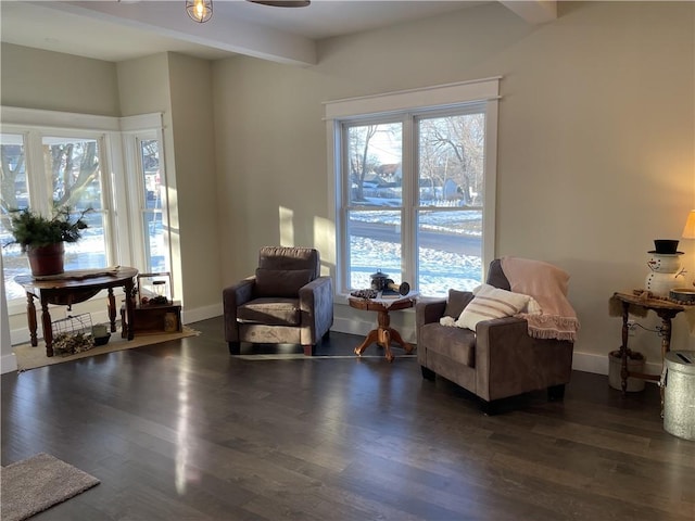 sitting room featuring dark wood-type flooring, baseboards, and ceiling fan