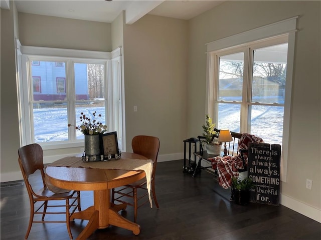 dining area featuring baseboards, a wealth of natural light, and wood finished floors