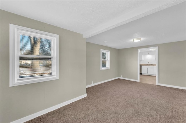 carpeted empty room with sink