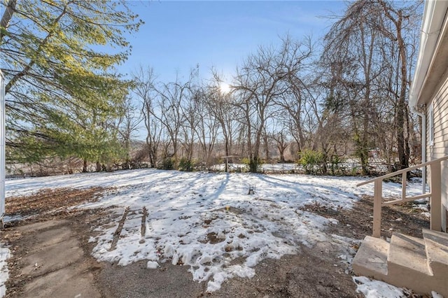 view of yard layered in snow