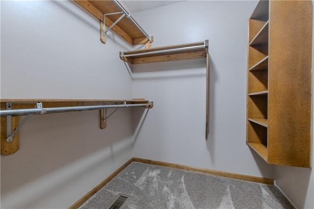 walk in closet featuring carpet floors