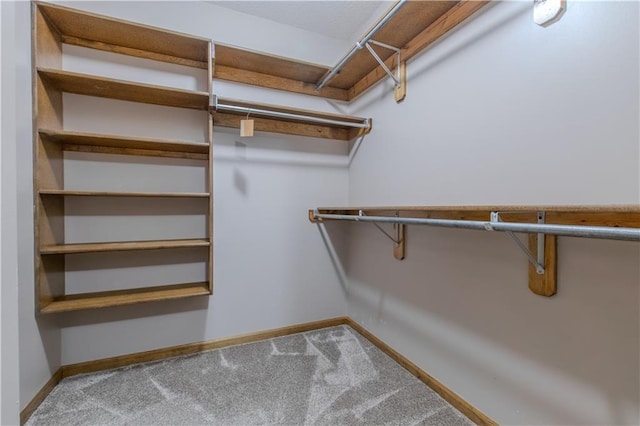 walk in closet featuring light carpet