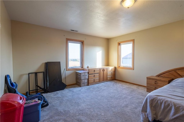 carpeted bedroom with multiple windows