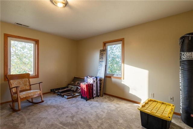 sitting room with carpet floors