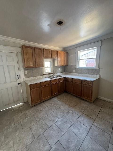 kitchen with ornamental molding, plenty of natural light, sink, and decorative backsplash