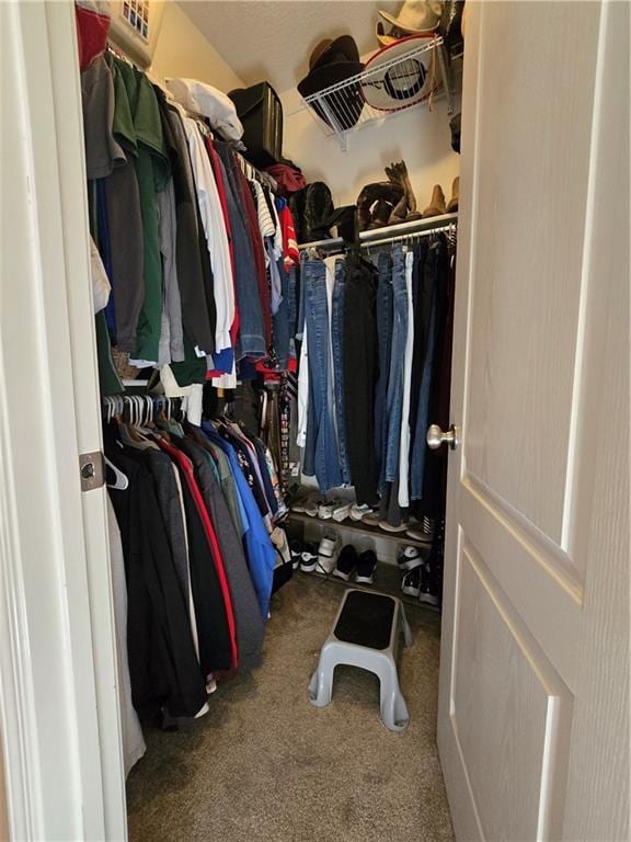 spacious closet featuring carpet floors