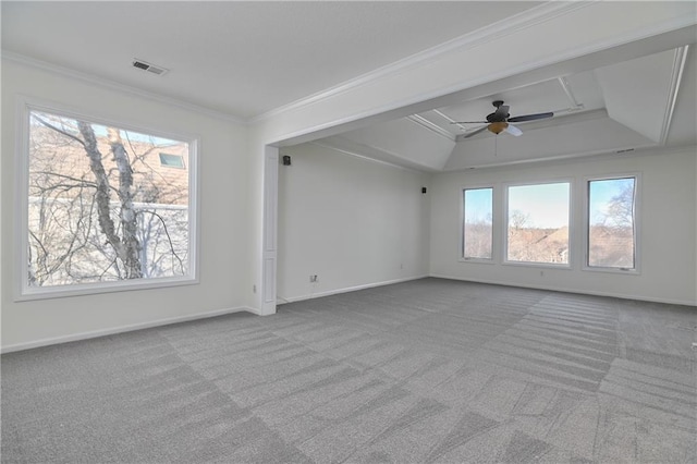 carpeted empty room with ornamental molding, a raised ceiling, and a healthy amount of sunlight