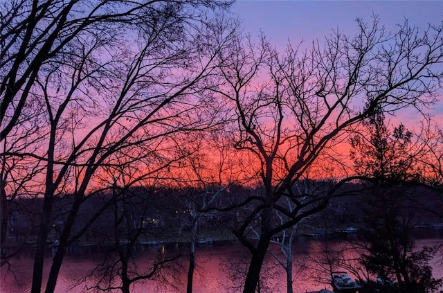 view of nature at dusk