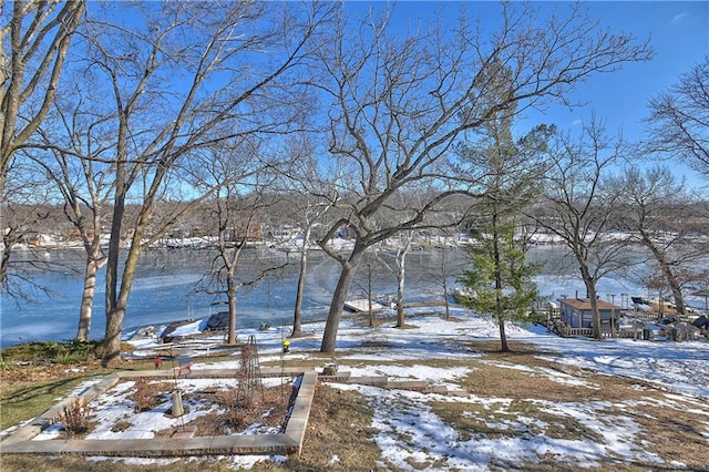view of snowy yard