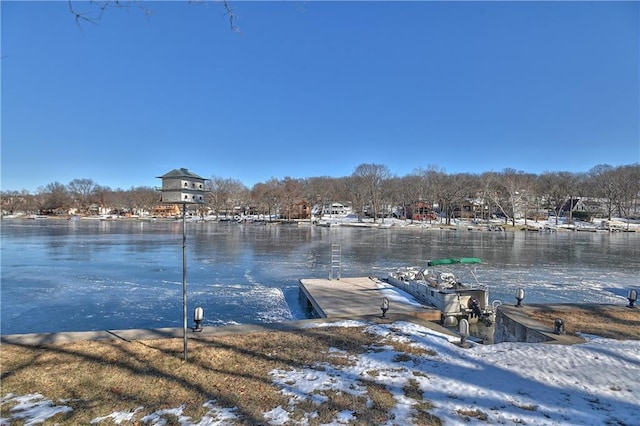 dock area with a water view