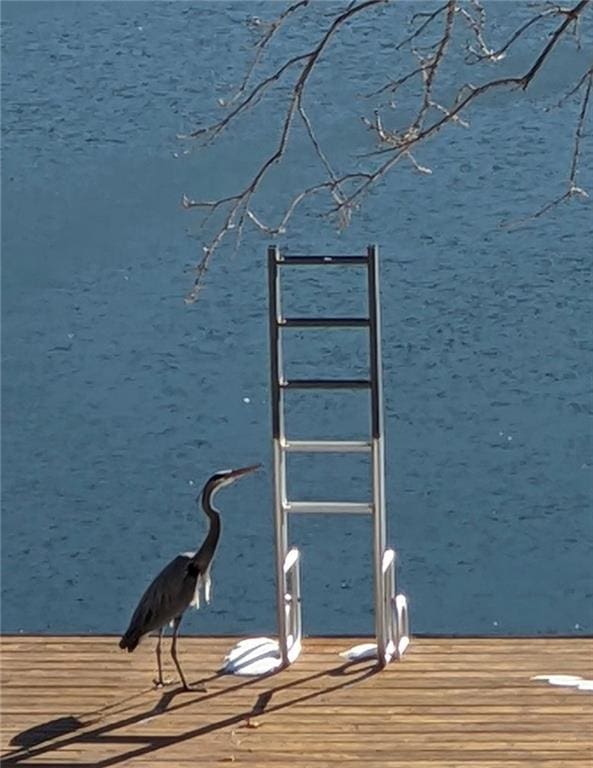 view of dock
