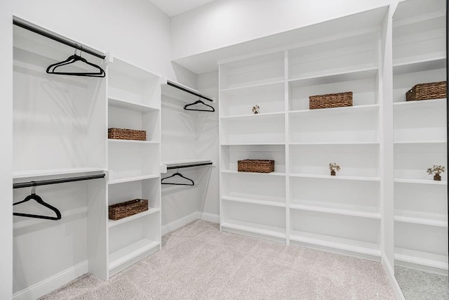 spacious closet with light colored carpet