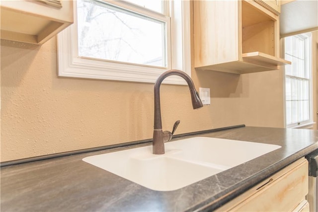 interior details with sink