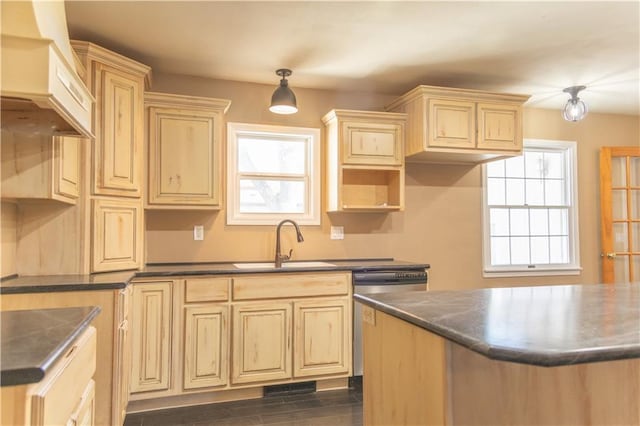 kitchen featuring sink, stainless steel dishwasher, dark hardwood / wood-style floors, custom range hood, and pendant lighting