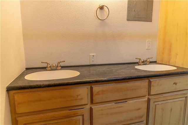 bathroom with vanity and electric panel