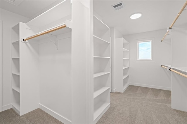 spacious closet featuring light colored carpet