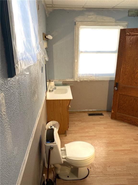 bathroom featuring hardwood / wood-style flooring, vanity, and toilet