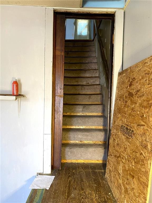 stairway with wood-type flooring