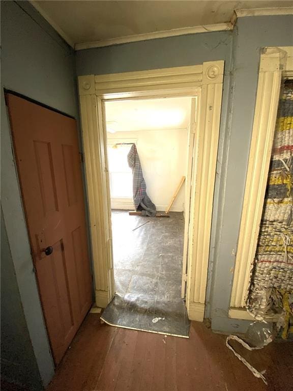 corridor featuring crown molding and wood-type flooring