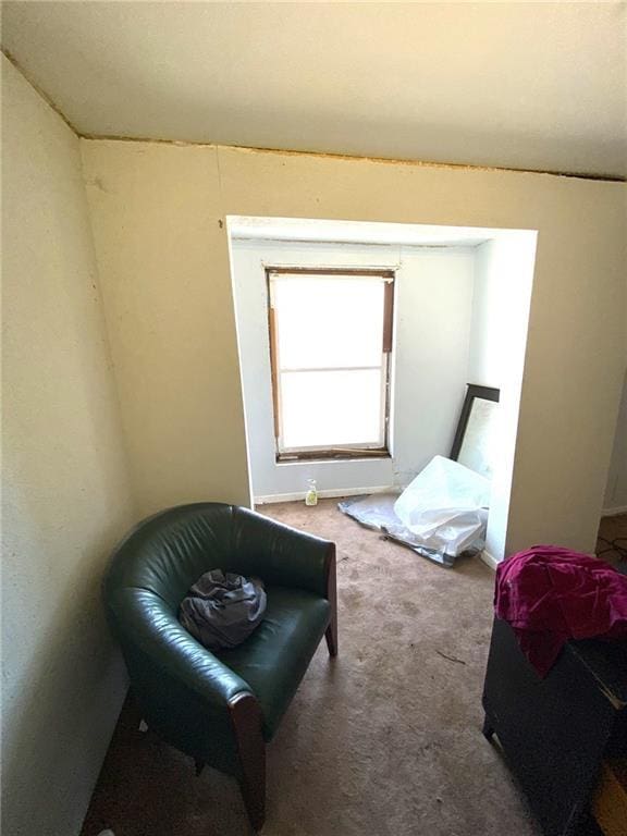 living area with carpet floors