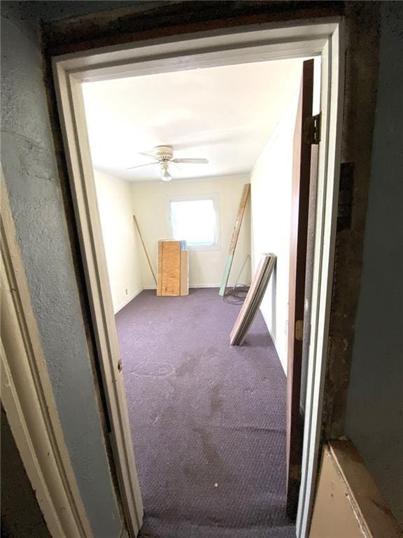 hallway featuring carpet floors