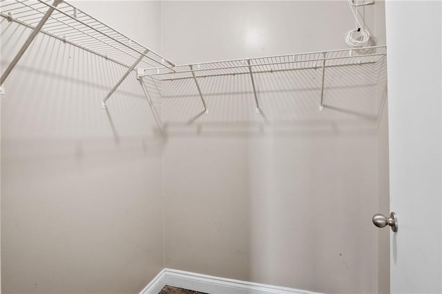 view of spacious closet